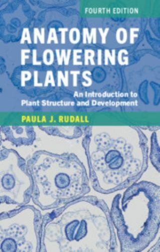 Anatomy of Flowering Plants Rudall Paperback Cambridge University Press 4e