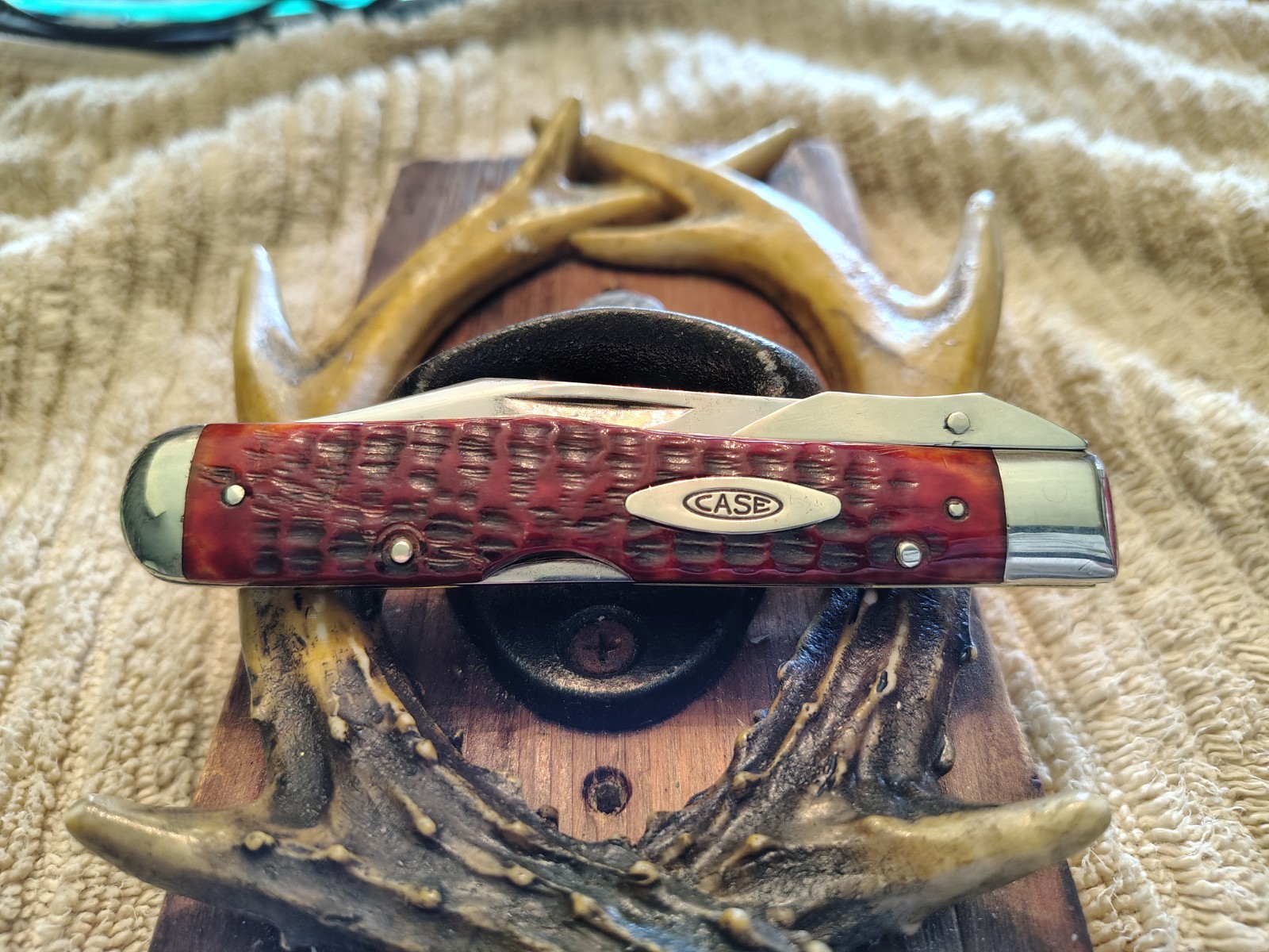 Case 1970 Ten Dot Red Bone Cheetah Knife