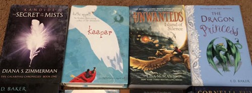 12 Fantasy Novels Gr. 5-8 Popular Authors Fiction Young Adult Teen - Picture 4 of 4