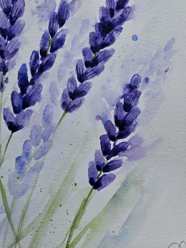 Large New original signed watercolour painting by Elle Smith Art. Bee & Lavender - Picture 4 of 8