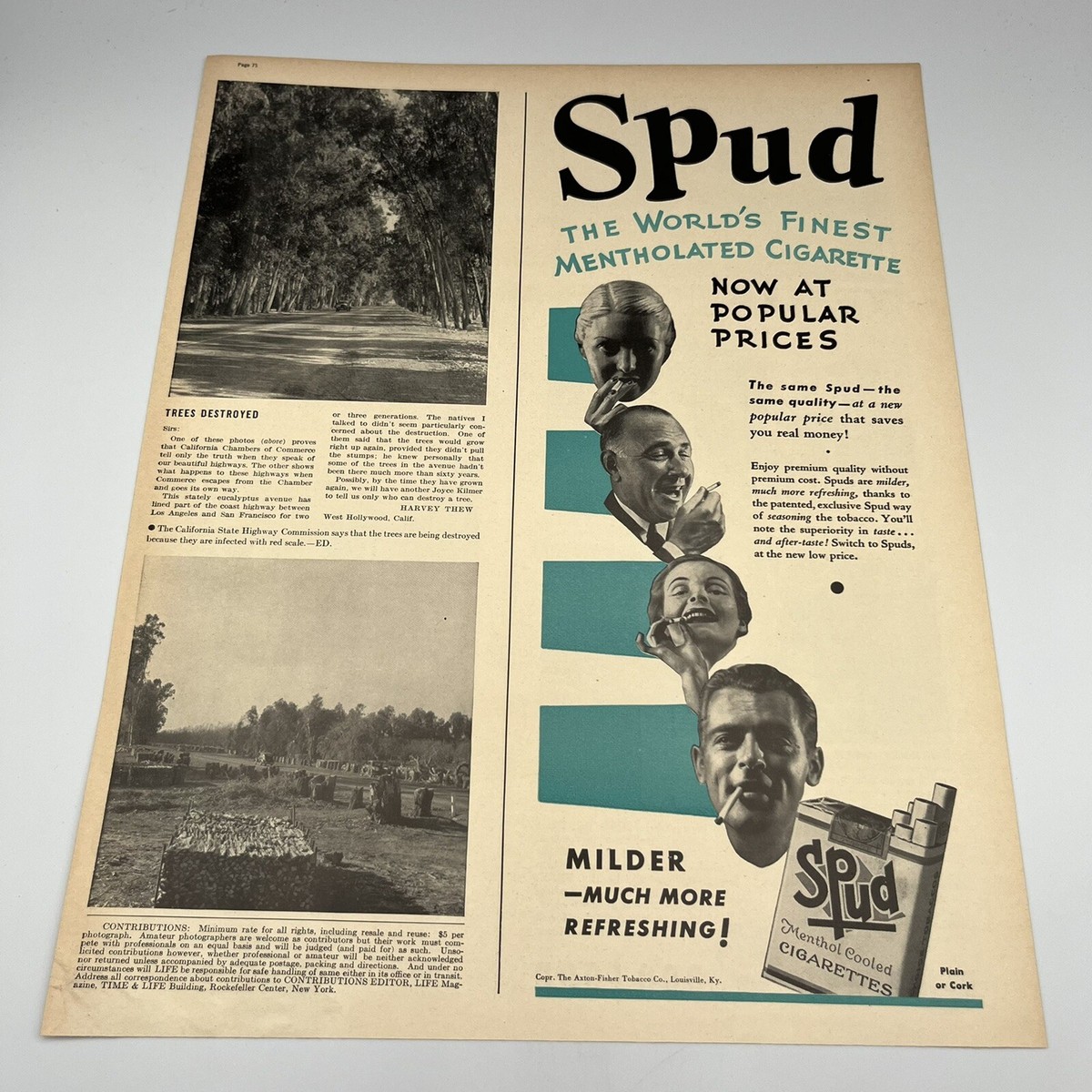 1939 Spud Menthol Cigarettes Vintage Print Ad 5.5