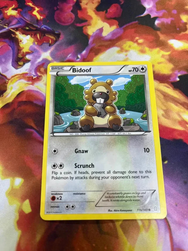 Bidoof 116/160 XY-Primal Clash Regular NM-Mint Pokémon TCG