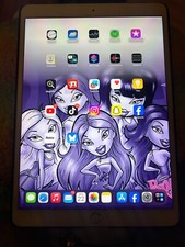 iPad Pro 10.5" - 256GB - used - with TikTok installed