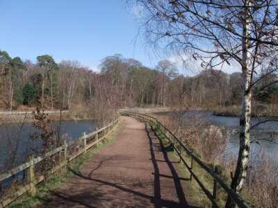 Foto 6x4 Damm über Clumber Lake Hardwick Village Eine Abkürzung quer durch c2009