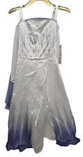 Frozen Elsa Costume Blue Girls Princess Disney Halloween Disguise