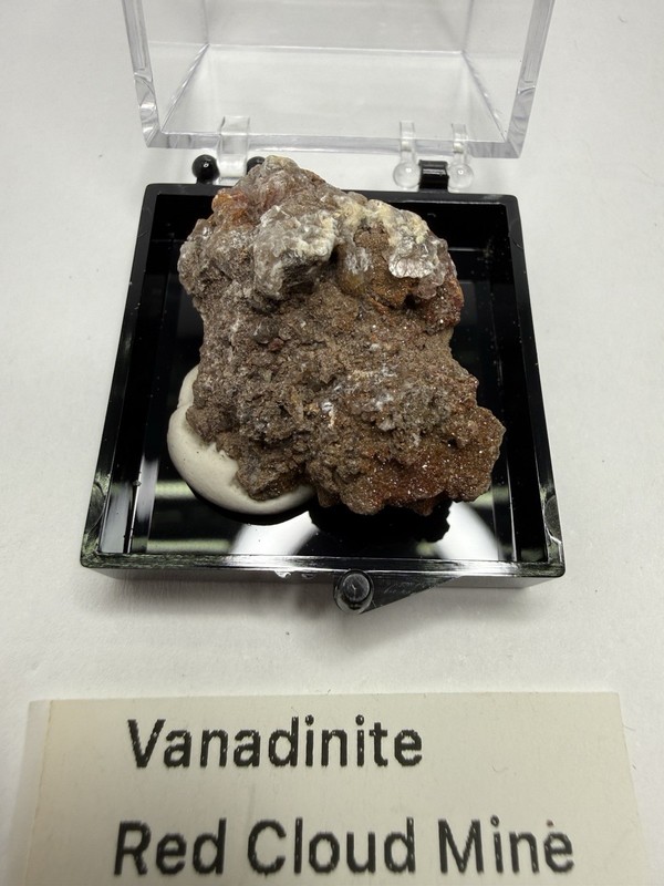 Natural Micro Vanadinite Thumbnail Mineral Specimen In Perky Red Cloud Mine AZ