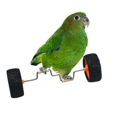 Parrot Balance Toy Interactive Bird Cage Training Toy Fun Intelligence