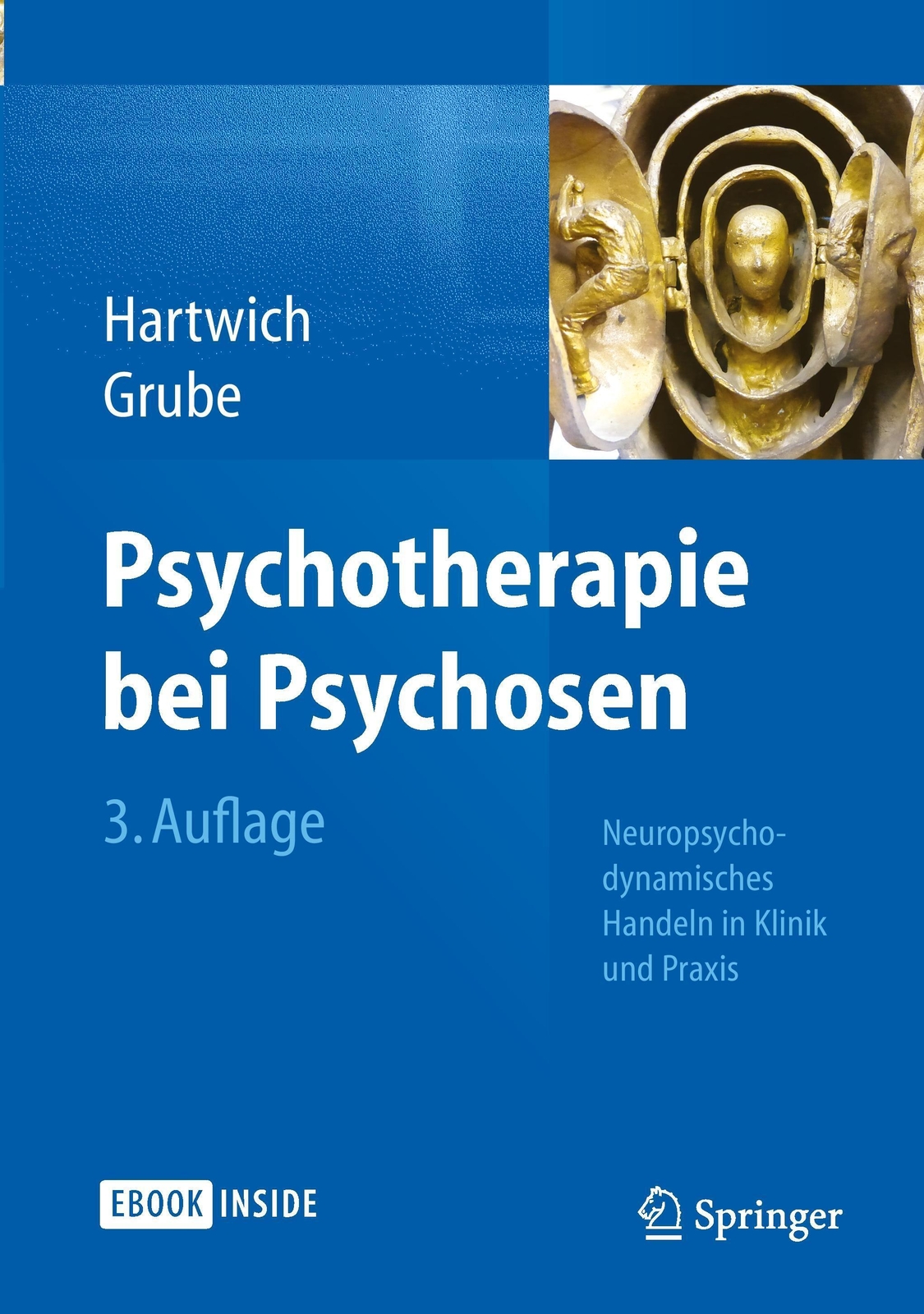 Thumbnail - Psychotherapie Bei Psychosen Neuropsychodynamisches Handeln In Klinik