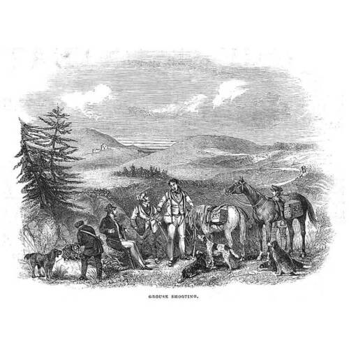 HUNTING Grouse Shooting Scene - Antique Print 1843 - Picture 1 of 1