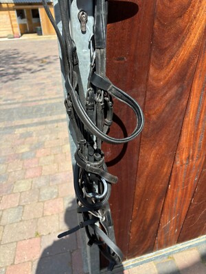Dylon Trense Reitsport Gr. Full schwarz mit Martingal und Stummelzügeln 
