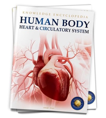 Human Body: Heart and Circulatory System by Wonder House Books Paperback Book