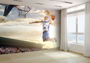 Joueur De Basket Ball En Action Papier Peint Photo Budget 28629224 Papier Ebay