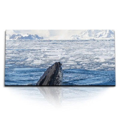 120x80cm Kunstdruck Bilder Wal Grauwal Buckelwal Alaska Ozean Eis Blau