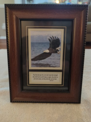 #ad Picture Frame ISAIAH 40: 31 EAGLE SOARING ABOVE THE WATER $10.00