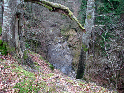 Photo 6x4 Banvie Burn Bailanloan Viewed from the track through 'The  c2007