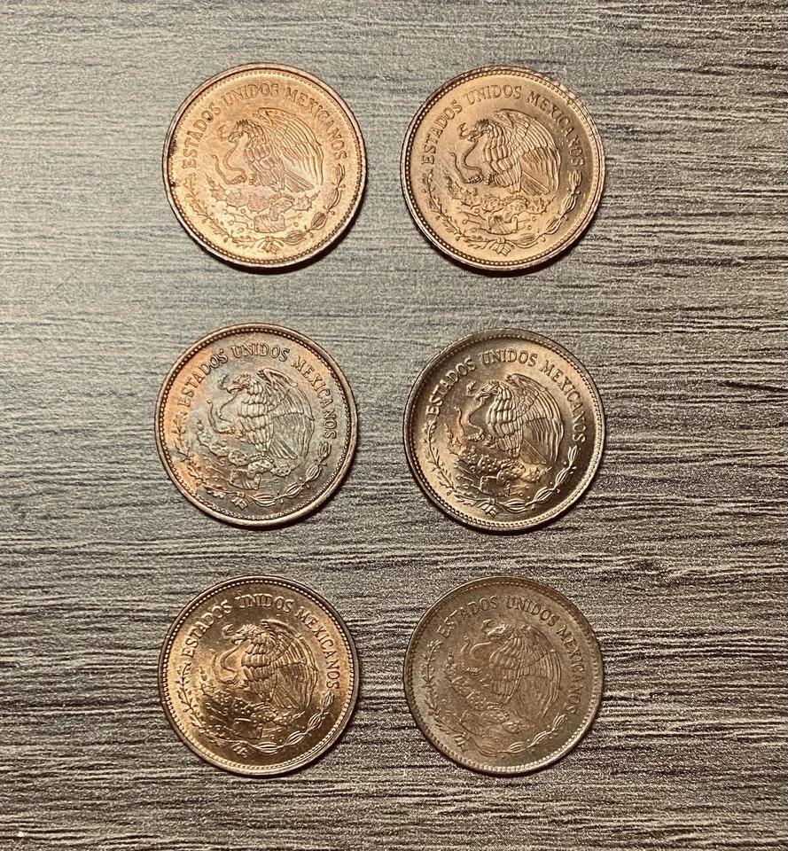 20 Centavos México 1983-84, Cabeza de Piedra Cultura Olmeca, LOTE DE 6 MONEDAS, Circuladas Foto 2 de 3