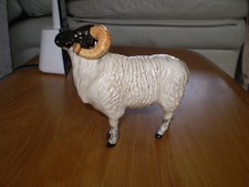Beswick Boreray Sheep Model No 4124 White with black markings   Gloss Rare Breed