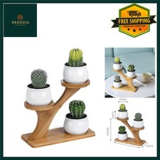 Image of Chic Ceramic Succulent Pots with 3 Tier Bamboo Stand Holder, 3 Pack