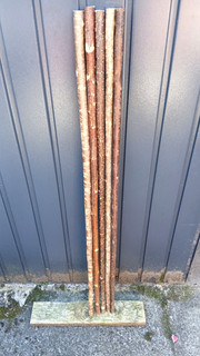 Hazel walking stick shanks