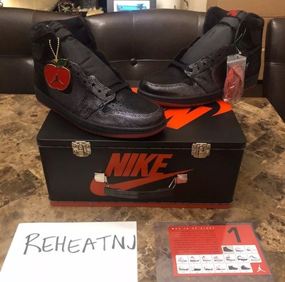 lebron miami dolphins shoes