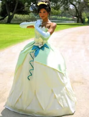 princess and the frog quinceanera dresses Princess And The Frog Quinceanera Theme Dress