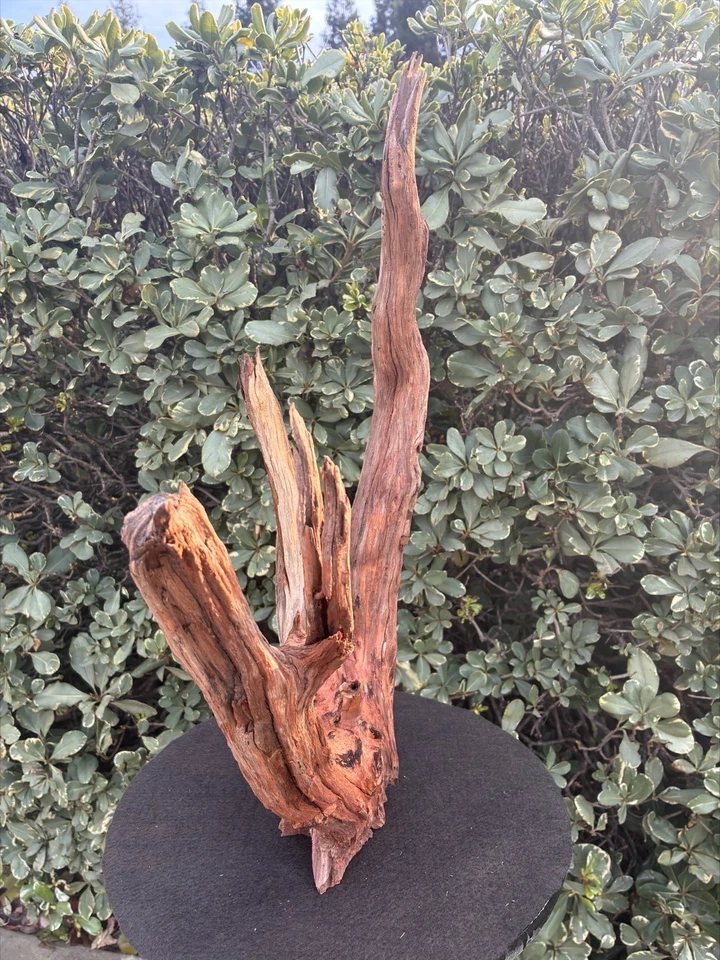 Aquarium Fish Tank Terrarium Aquascape  Manzanita Root/Branch - Image 2 of 4