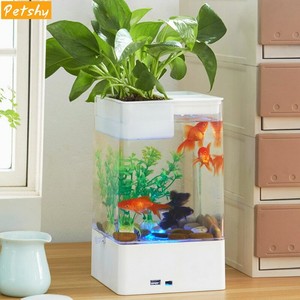 office fish tank