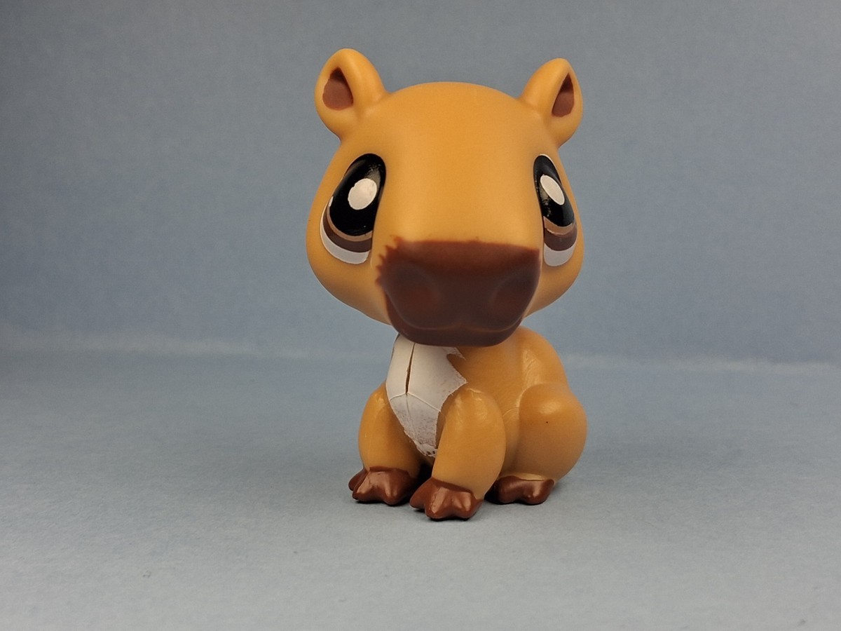 CAPYBARA #G7 #143 - Authentic Littlest Pet Shop - Hasbro LPS | eBay