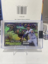 2024 Wild Card Dino-might Matt Shaw 1/1
