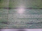 Bild 8 von 11