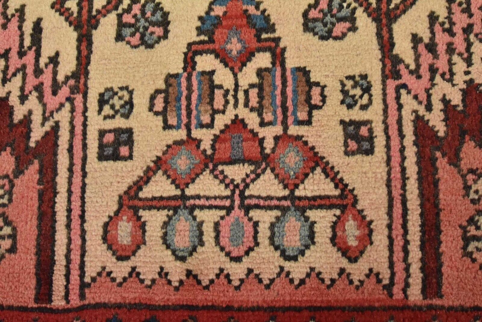 Picture 9 of 13