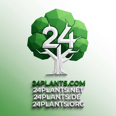 24plants Domain-Bundle   Komplette-Marke für Pflanzen, Shops & Green-Lifestyle