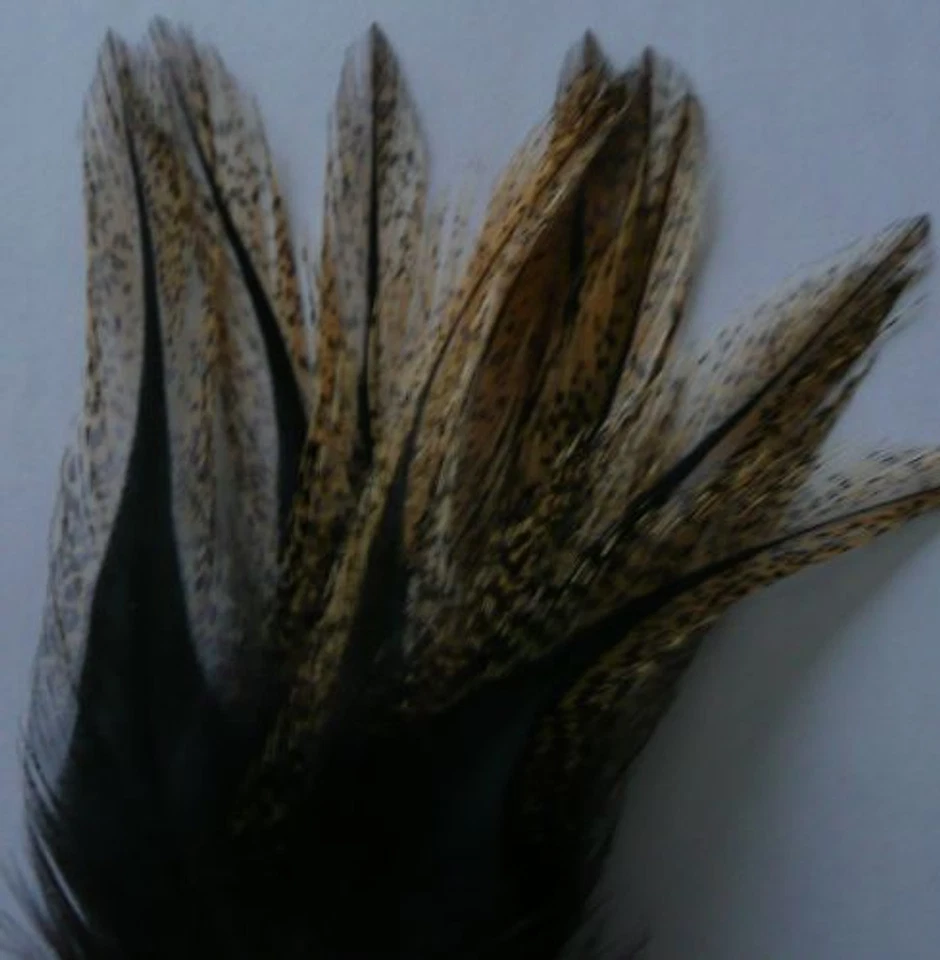 PARDO COQ LEON 12 PLUMES COQ LEON PARDO COLGADERA flor escoba grade 1 mouche mosca fly