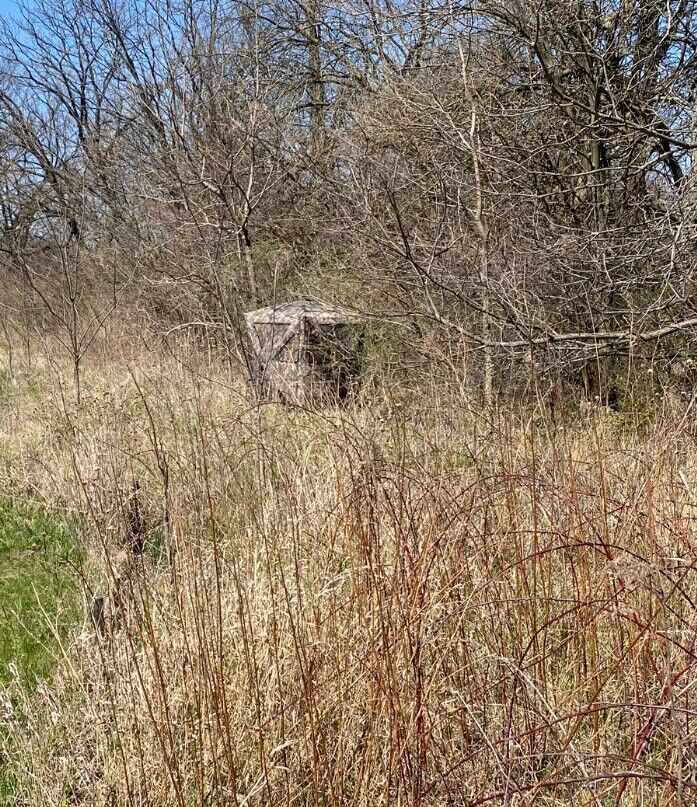 Picture 9 of 10