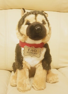 black dog accessories