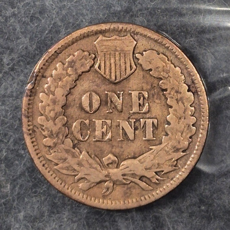 1896 Indian Head cent, reverse