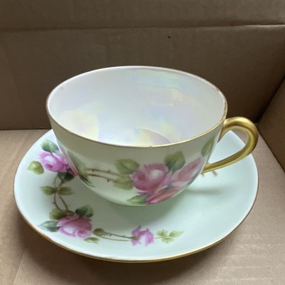 Bavaria Porcelain Floral Cup & Saucer Set Pink Roses Gold Trim Two-Piece