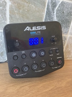 Alesis DM Lite Gehirnmodul #getestet#