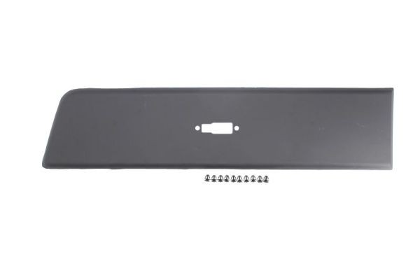 Left Rear BLIC 5703-04-2097581P Trim/Protection Strip, wing for CITROËN,FIAT,PEU