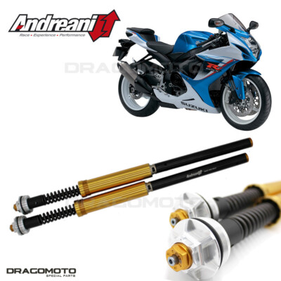 SUZUKI GSX-R 600 2011-2022 cartridge ANDREANI 115/S01E MISANO EVO