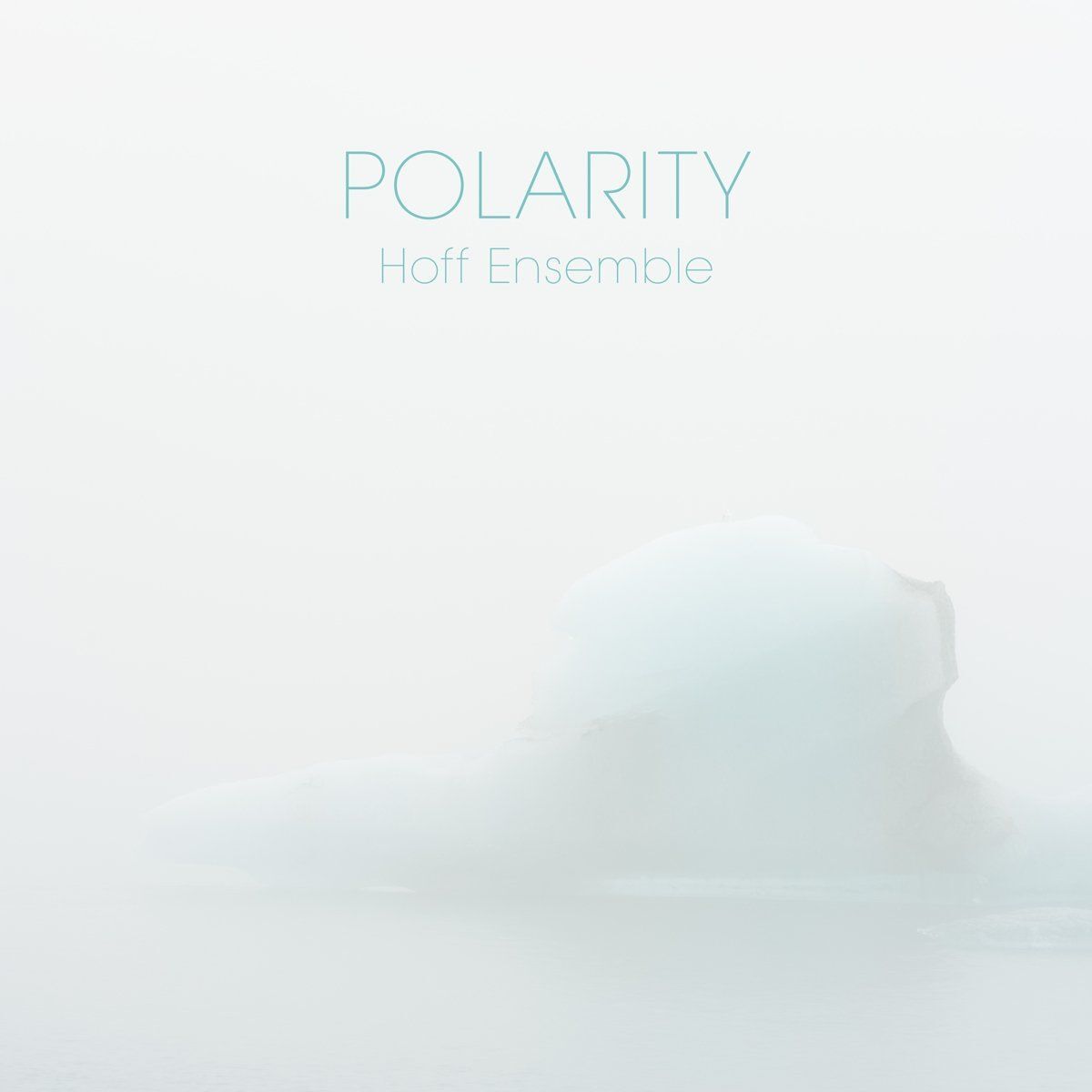 Audio Cd Nuovo - Hoff Ensemble - Polarity (2 Cd)  - 2l