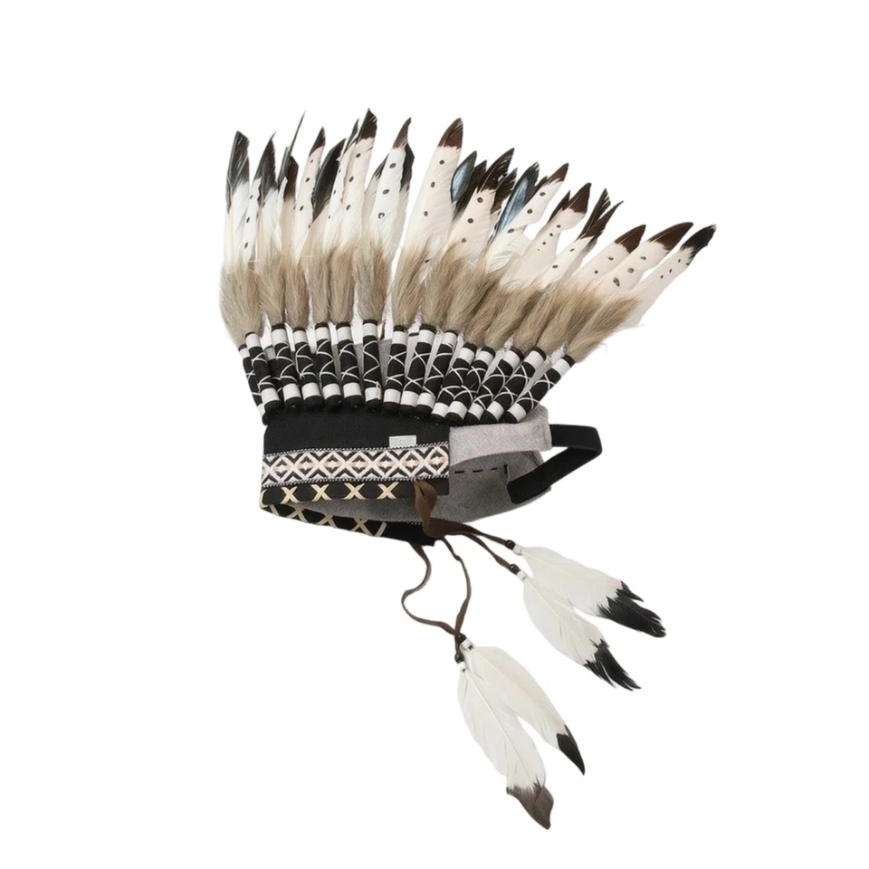 Coiffe à Plumes Bicolore Coiffe D'indien Léger pour Fête Costumée, Photographes - Photo 1/4