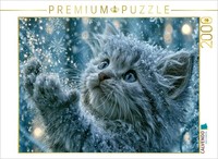 Calvendo Puzzle Discover The Magic Of Winter | 2000 Pieces, Finished Size 35.4 ×
