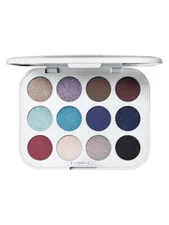Mac Snowbody's Business Eye Shadow Palette X 12