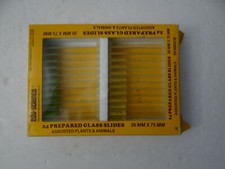 Vintage Glass Slides Lab Edu Science Japan 24  Plants Animals 26mm x 75mm