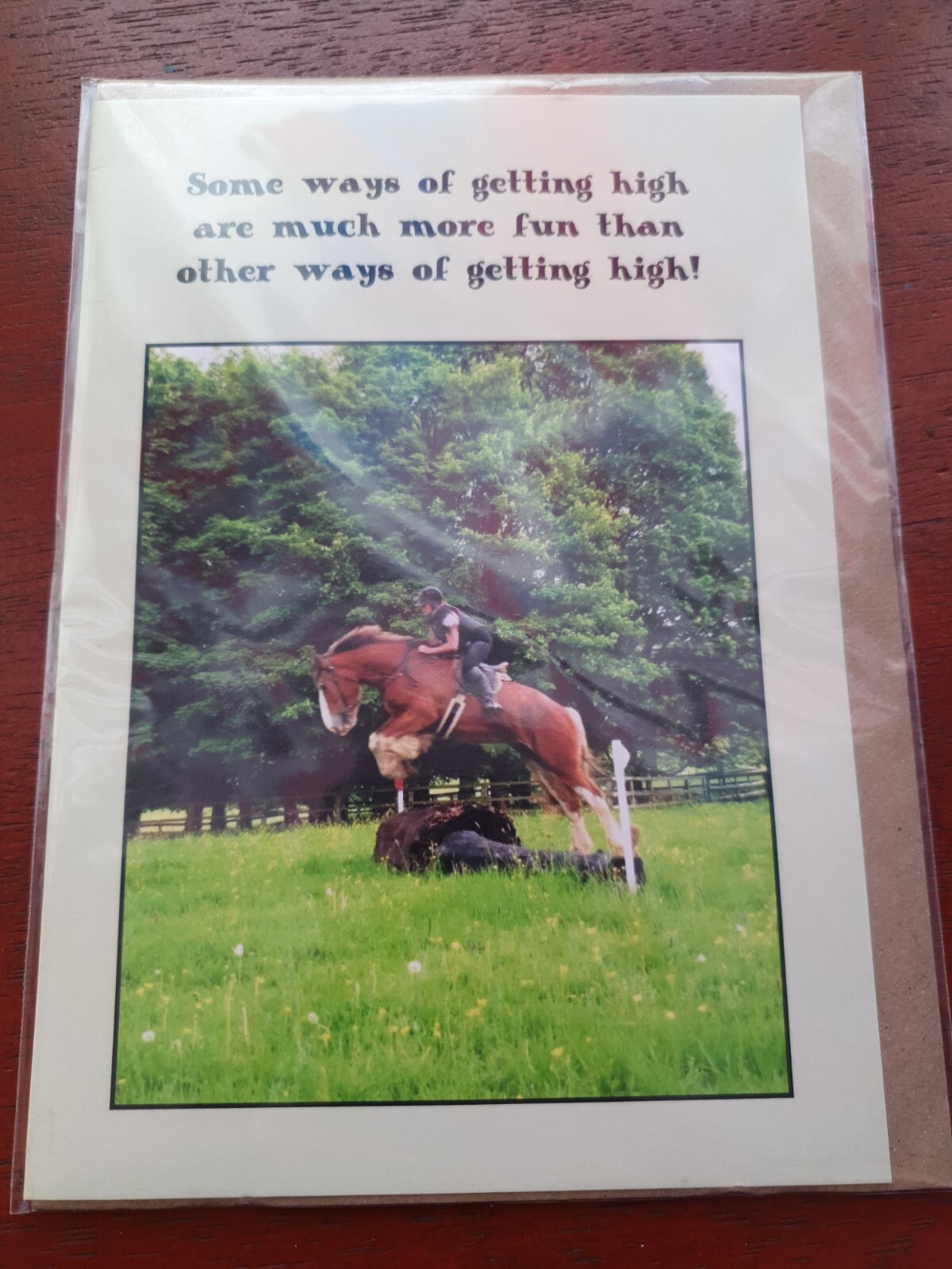 Horse birthday card funny greetings card Getting High Eventing Cross Country NEW