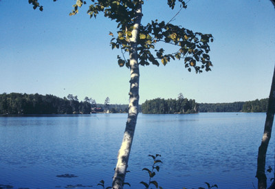 Kodak Slide 35mm 1940s Red Border, calm water, forested shores, and birch trees
