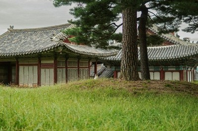 1$ Digital Image Wallpaper - Korea Cats Series: Royal Palace Guardian Feline