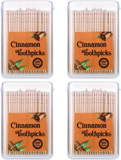 400 Pcs 4 Boxes Cinnamon Toothpicks for Adults Cinnamon Flavored Toothpicks with
