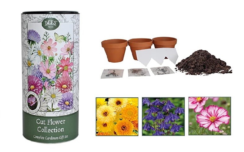 Cut Flower Growing Kit From Seed With Soil, Seeds, Pots Gift Set 3 Flowers Home